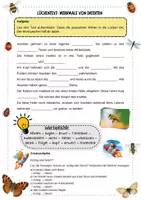 Vorschau - Arbeitsblätter - Insekten: Körperbau und Merkmale – Arbeitsblatt mit Lückentext mit Lösung für Klasse 3–4 - Seite 1