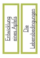 Vorschau - Präsentationen/Tafelbilder - Apfel Grundschule – Tafelmaterial für den Sachunterricht | Klasse 1/2 - Seite 3