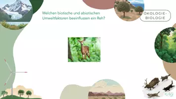 Vorschau - Arbeitsblätter - Übung biotische und abiotische Faktoren - Seite 1