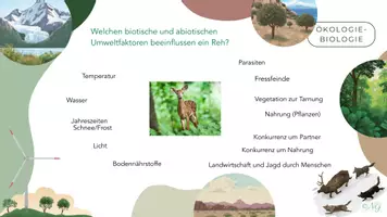Vorschau - Arbeitsblätter - Übung biotische und abiotische Faktoren - Seite 2