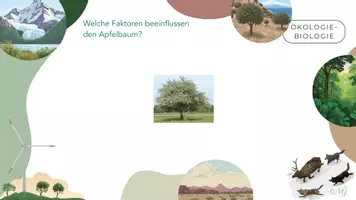 Vorschau - Arbeitsblätter - Übung biotische und abiotische Faktoren - Seite 3