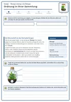 Vorschau - Stundenentwürfe - Einstieg in die Ökologie: Ökosystem und Ökologische Faktoren (Biologie Oberstufe) - Seite 3