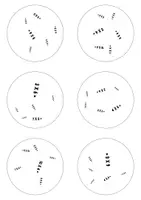 Voorbeeld - Dobblevariant Tafels 4, 6 en 8 | Spelend Oefenen van de Maaltafels - Voorblad