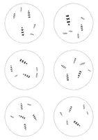 Voorbeeld - Dobblevariant Tafels 4, 6 en 8 | Spelend Oefenen van de Maaltafels - Pagina 1