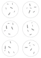 Voorbeeld - Dobblevariant Tafels 4, 6 en 8 | Spelend Oefenen van de Maaltafels - Pagina 3