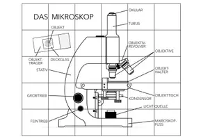Vorschau - Spiele - Mikroskop – Puzzle - Seite 1