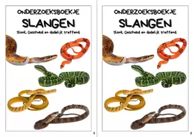 Voorbeeld - Onderzoeksboekje - Slangen - Biologie - Pagina 2