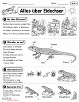 Vorschau - Stundenentwürfe - Eidechsen – Sachtexte, Leseverständnis & Entwicklung | Differenziert in 3 Stufen | 2.–5. Klasse - Seite 1
