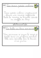 Aperçu - Apprentissages en autonomie - Rallye copie sur les contes CE2 ou CE1 - Page 1