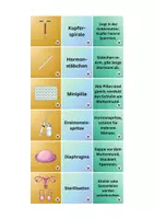 Vorschau - Stundenentwürfe - Materialpaket Körper. Liebe. Respekt. - Sexualjunde / Biologie - WACHSEND - Seite 3
