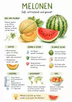 Vorschau - Arbeitsblätter - Lernplakat + Arbeitsblätter zum Thema "Melonen" + Lösung & MP3 + Infografik - Deckblatt