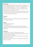 Vorschau - Mal- und Bastelvorlagen - Freebie Herbst Grundschule | Fuchs im Herbst basteln | Wackelfuchs Bastelvorlage - Seite 2