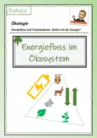 Vorschau - Arbeitsblätter - Energiefluss im Ökosystem (inkl. Lösungen) - Deckblatt