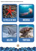 Vista previa - Unidades / Secuencias / Situaciones de Aprendizaje - El fondo marino - Tesoros Brillantes - página 2