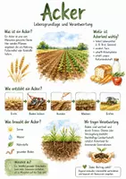 Vorschau - Arbeitsblätter - Lernplakat + AB mit Fragen zum Thema "Acker" + Lösungsblatt + Infografik - Deckblatt