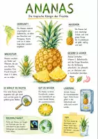 Vorschau - Arbeitsblätter - Lernplakat + AB mit Fragen zum Thema "Ananas" + Lösungsblatt + Infografik - Deckblatt