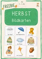 Vorschau - Fördermaterial/Inklusion - Bildkarten Herbst kostenlos - Deckblatt