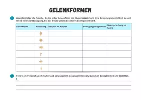 Vorschau - Arbeitsblätter - Sportbiologische Grundlagen ⎮ Skelettsystem Gelenkformen - Übungsaufgabe für Klasse 11 bis 13 - Seite 1