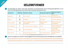 Vorschau - Arbeitsblätter - Sportbiologische Grundlagen ⎮ Skelettsystem Gelenkformen - Übungsaufgabe für Klasse 11 bis 13 - Seite 2