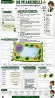 Vorschau - Unterrichtsreihen - 🌱🐾 Pflanzenzelle & Tierzelle 🔬 | Aufbau, Vergleich & Mikroskopieren | Arbeitsblätter + Lösungblätter + Einstieg+ Ausstieg | Biologie Klasse 7–8 - Deckblatt
