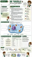 Vorschau - Unterrichtsreihen - 🌱🐾 Pflanzenzelle & Tierzelle 🔬 | Aufbau, Vergleich & Mikroskopieren | Arbeitsblätter + Lösungblätter + Einstieg+ Ausstieg | Biologie Klasse 7–8 - Seite 1