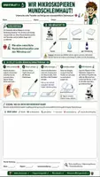Vorschau - Unterrichtsreihen - 🌱🐾 Pflanzenzelle & Tierzelle 🔬 | Aufbau, Vergleich & Mikroskopieren | Arbeitsblätter + Lösungblätter + Einstieg+ Ausstieg | Biologie Klasse 7–8 - Seite 2
