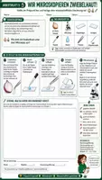 Vorschau - Unterrichtsreihen - 🌱🐾 Pflanzenzelle & Tierzelle 🔬 | Aufbau, Vergleich & Mikroskopieren | Arbeitsblätter + Lösungblätter + Einstieg+ Ausstieg | Biologie Klasse 7–8 - Seite 3
