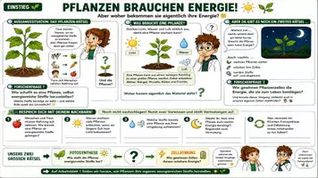 Vorschau - Unterrichtsreihen - 🌿☀️ Fotosynthese & Zellatmung ⚡♻️ | Unterrichtsmaterial Biologie | Arbeitsblätter, Lösungen, Einstieg & Ausstieg | Klasse 7,8 - Deckblatt