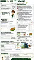 Vorschau - Unterrichtsreihen - 🌿☀️ Fotosynthese & Zellatmung ⚡♻️ | Unterrichtsmaterial Biologie | Arbeitsblätter, Lösungen, Einstieg & Ausstieg | Klasse 7,8 - Seite 2