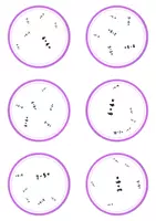 Voorbeeld - Dobblevariant Bewerkingen tot 10 | Spelend Automatiseren van Optellen en Aftrekken - Pagina 2