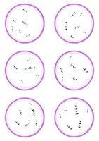 Voorbeeld - Dobblevariant Bewerkingen tot 10 | Spelend Automatiseren van Optellen en Aftrekken - Pagina 3