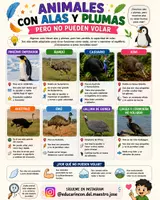 Vista previa - Decoración del aula - INFOGRAFIAS (P7) - página 3