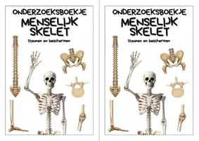 Voorbeeld - Onderzoeksboekje - Menselijk skelet - Biologie - Pagina 2