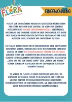 Vorschau - Arbeitsblätter - Materialpaket Eingewöhnung 3 - Seite 2