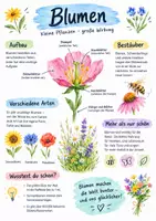 Vorschau - Arbeitsblätter - Lernplakat + Arbeitsblätter zum Thema "Blumen" + Lösung & MP3 + Infografik - Deckblatt