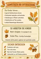 Vorschau - Stundenentwürfe - Herbst entdecken – Entdeckerheft Sachunterricht Klasse 2/3 | 26 Seiten mit Lösungen & Urkunde - Seite 2