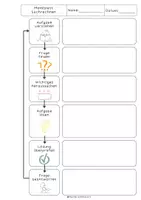 Vorschau - Poster - Sachaufgaben lösen | Merkblatt | Ablauf | Kreislauf - Seite 1