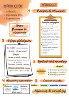 Vista previa - Tarjetas / Manipulativos - Esquema T12. Principios de intervención (Opos Ed. Infantil) - página 2