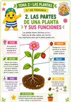 Vista previa - Unidades / Secuencias / Situaciones de Aprendizaje - Tema 2 · Las plantas · 3.º de Primaria Teoría, actividades manipulativas, repaso y juego “Yo tengo… ¿Quién tiene?” - página 2
