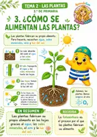 Vista previa - Unidades / Secuencias / Situaciones de Aprendizaje - Tema 2 · Las plantas · 3.º de Primaria Teoría, actividades manipulativas, repaso y juego “Yo tengo… ¿Quién tiene?” - página 3