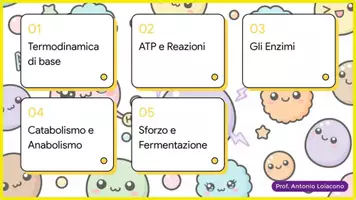 anteprima - Materiale di supporto/inclusione - ATP, enzimi, metabolismo e fermentazione - Pagina 1