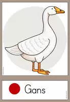 Vorschau - Fördermaterial/Inklusion - DaZ_Bauenhoftiere_Tafelkarten mit Artikel - Seite 2