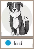 Vorschau - Fördermaterial/Inklusion - DaZ_Bauenhoftiere_Tafelkarten mit Artikel - Seite 3