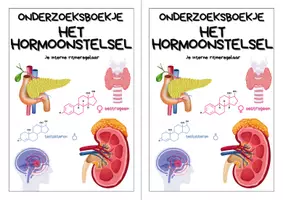 Voorbeeld - Onderzoeksboekje - Hormoonstelsel - Biologie - Pagina 2