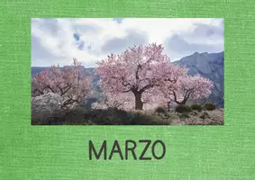 Vista previa - Decoración del aula - MESES DEL AÑO / MONTHS OF THE YEAR - página 3