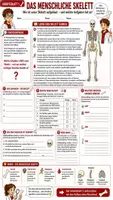 Vorschau - Stundenentwürfe - 🦴💪 Bewegungsapparat – Komplettpaket ⚙️🩻 | Skelett & Knochen, Gelenke, Wirbelsäule, Hand & Fuß & Muskulatur 🔬 | Arbeitsblätter ✏️ Lösungen ✅ Einstiege 💡 Ausstiege 💬 Didaktische Empfehlung| Biologie Klasse 7–8 🎓 - Seite 1