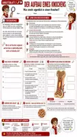 Vorschau - Stundenentwürfe - 🦴💪 Bewegungsapparat – Komplettpaket ⚙️🩻 | Skelett & Knochen, Gelenke, Wirbelsäule, Hand & Fuß & Muskulatur 🔬 | Arbeitsblätter ✏️ Lösungen ✅ Einstiege 💡 Ausstiege 💬 Didaktische Empfehlung| Biologie Klasse 7–8 🎓 - Seite 2