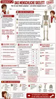 Vorschau - Unterrichtsreihen - 🦴💀🔬 Skelett & Knochen 🩻🩸 | Unterrichtsmaterial Biologie 🧬 | Arbeitsblätter ✏️ Lösungen ✅ Knochen-Suchsel 🔎 Einstieg 💡 & Ausstieg 💬 | Klasse 7–8 🎓 - Seite 3