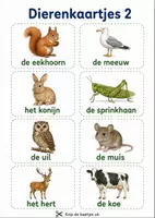 Voorbeeld - biotopen les 2 / Wereldwijzer thema 1 / tweede leerjaar - Pagina 3