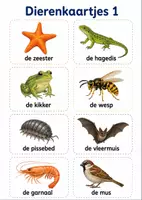 Voorbeeld - biotopen les 2 / Wereldwijzer thema 1 / tweede leerjaar - Pagina 1